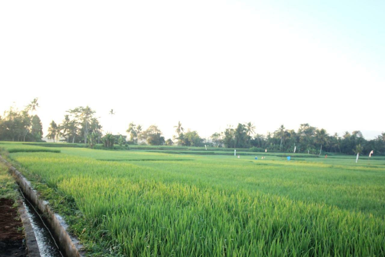 Ayuna Family Ubud Exterior photo