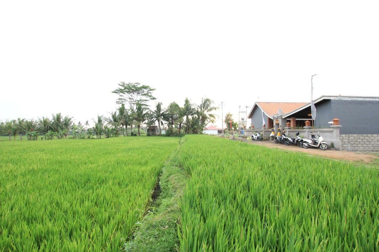 Ayuna Family Ubud Exterior photo