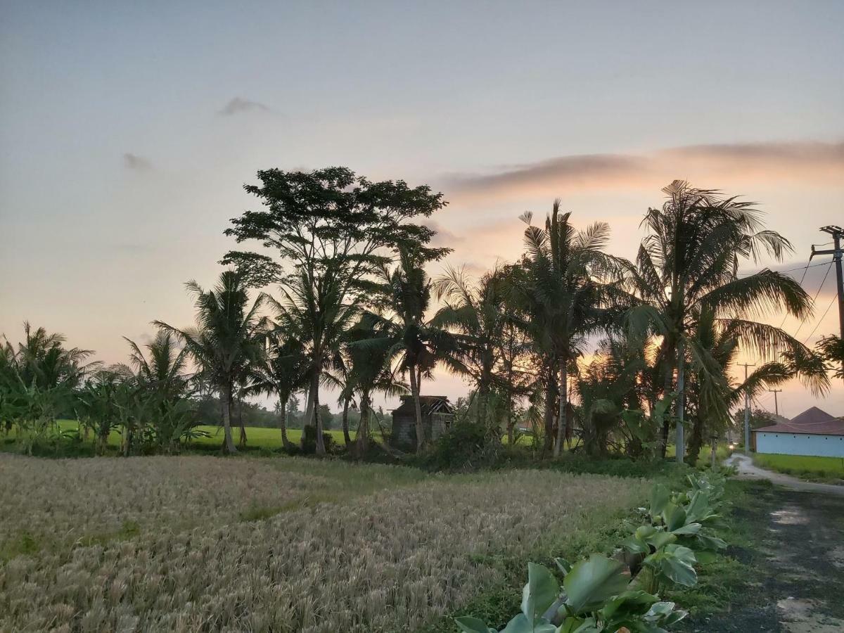 Ayuna Family Ubud Exterior photo