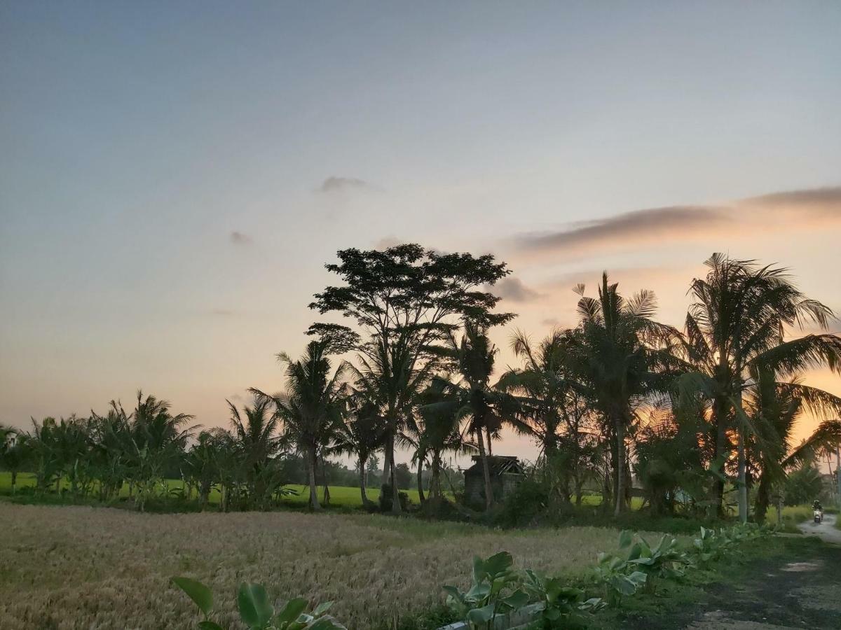 Ayuna Family Ubud Exterior photo